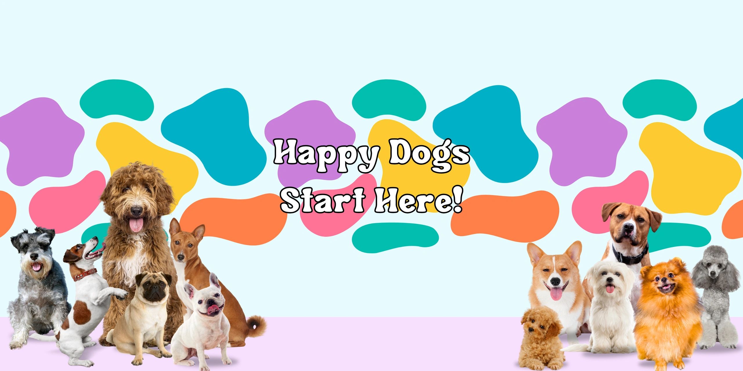 Our Care Crew our-care-crew